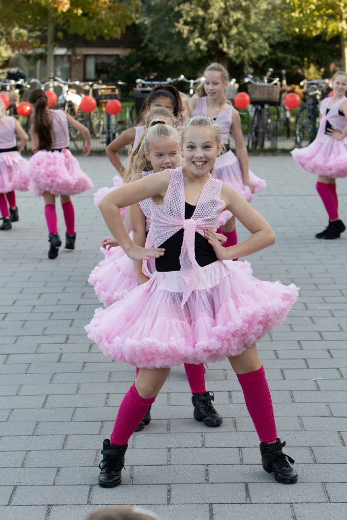 Schoolplein Festival A308.jpg